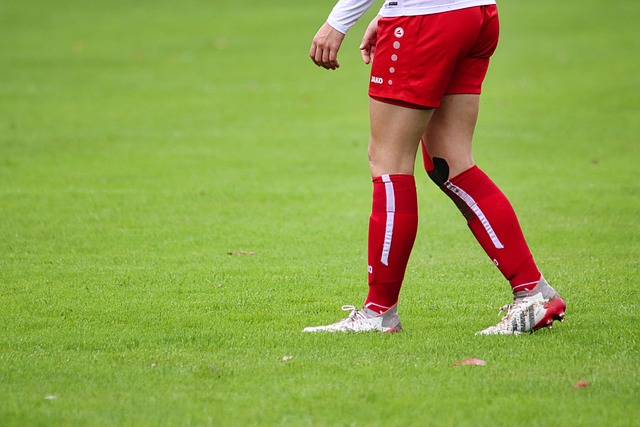 篮球火箭球迷投票支持球队重建计划